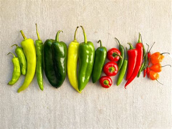 Exploring The Marital Status Of The Red Hot Chili Peppers