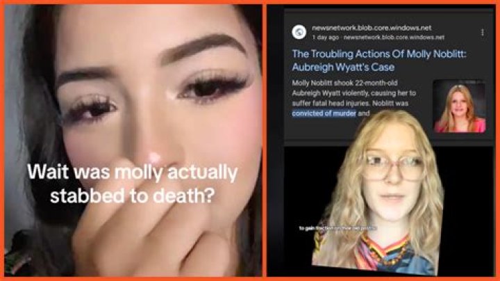 Molly Noblitt Arrest: Breaking News And Details