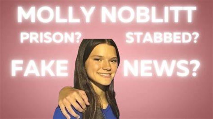 Unveiling Molly Noblit: An Enigma Demystified